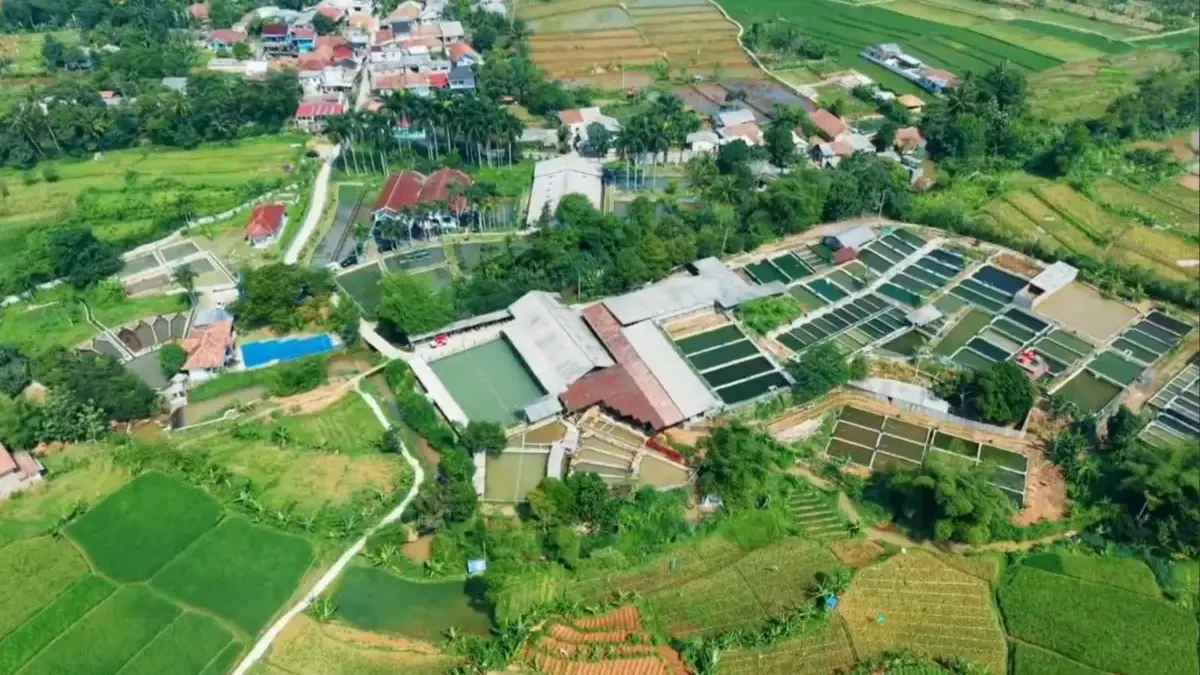 Bupati Bogor Maksimalkan Potensi Perikanan dan Peternakan di 6 Kecamatan Bupati Bogor Maksimalkan Potensi Perikanan dan Peternakan di 6 Kecamatan