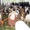 HUT Kabupaten Tasikmalaya