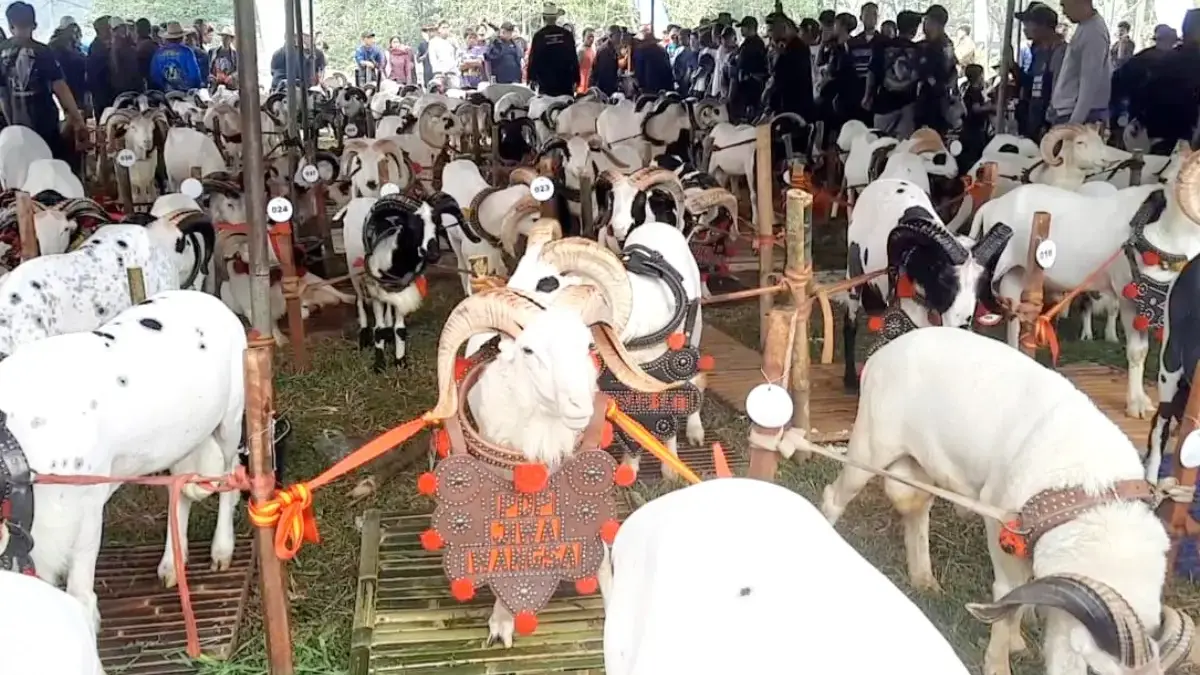 HUT Kabupaten Tasikmalaya