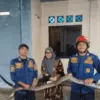 King Kobra Masuk Garasi Rumah Warga di Parung Panjang, Damkar Turun Tangan