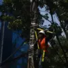 Pemkot Bandung Tunda Pemotongan Kabel Udara di Asia Afrika, Prioritaskan Kelancaran Layanan Publik