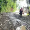 Jalan wisata di selatan Bandung Barat masih rusak. Dok Jabar Ekspres/Suwitno