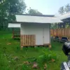 Proyek Kambing BUMDes Kujangsari Mandek Berlanjut Panggilan Polisi, Dana Rp280 Juta Dipertanyakan