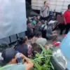 Bocah Tewas Diserang Anjing Pemburu di Jasinga Bogor, 20 Pemilik Diamankan Polisi