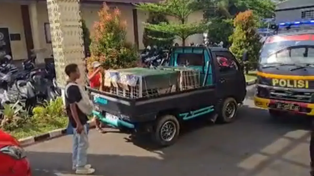 Imbas Bocah Tewas di Jasinga Bogor, Polisi Periksa 8 Saksi dan Amankan 30 Anjing Pemburu Imbas Bocah Tewas di Jasinga Bogor, Polisi Periksa 8 Saksi dan Amankan 30 Anjing Pemburu