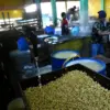 Pekerja menyelesaikan produksi tahu di Sentra Produksi Tahu Cibuntu, Kota Bandung, Selasa (9/6/2026). Menurut