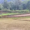 Tampak kondisi pesawahan di Desa Linggaraja, Kecamatan Sukaraja, Kabupaten Tasikmalaya, yang mulai kering akib