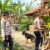 Anjing Pemburu Lepas Resahkan Warga Jasinga, Polres Bogor Kerahkan K9 Mabes Polri
