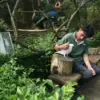 Pekerja merawat satwa burung Kakatua Koki di Bandung Zoo, Kota Bandung, Jumat (12/6/2026). Pemerintah Kota Ban