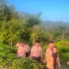 Digelar di Kaki Pegunungan Halimun Salak, Peserta Pramuka Tempuh Medan Terjal Demi Ikuti HJB ke-544