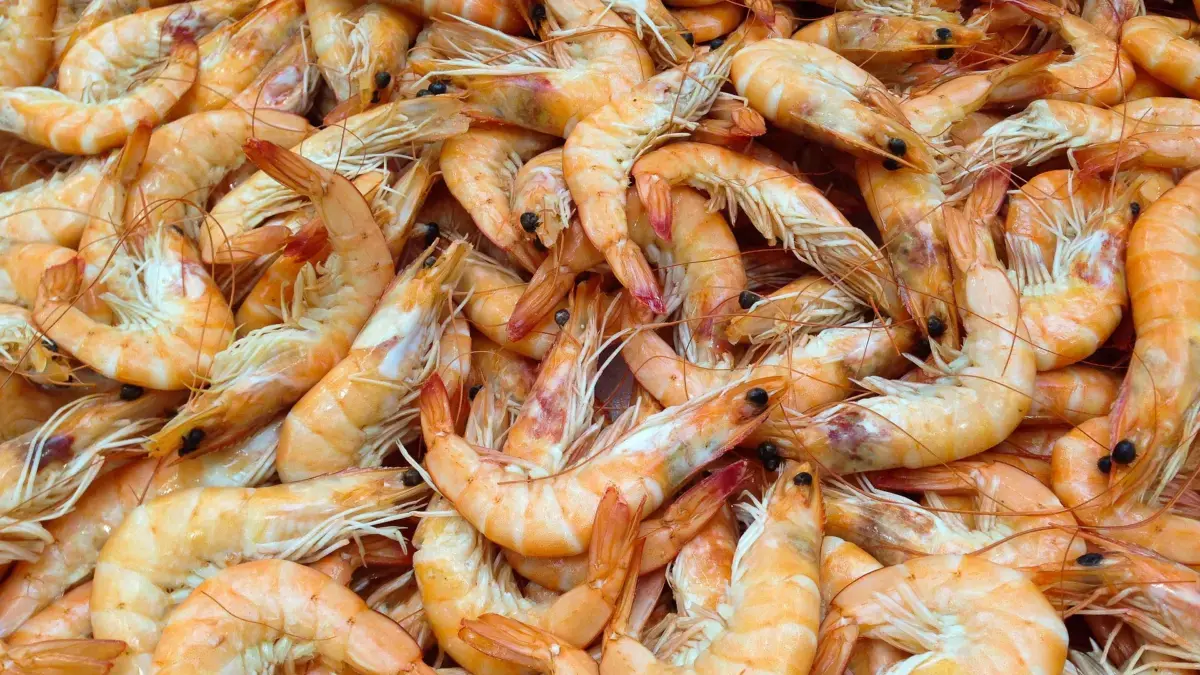 Udang Windu Jadi Penggerak Ekspor Perikanan di Indonesia, Tembus Rp173 Miliar dalam 5 Bulan Ilustrasi ekspor udang windu. (Dok. Pixabay)
