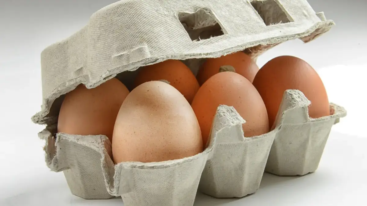Upaya Perkuat Ekonomi Lokal, BGN Wajibkan SPPG Beli Telur Langsung dari Peternak