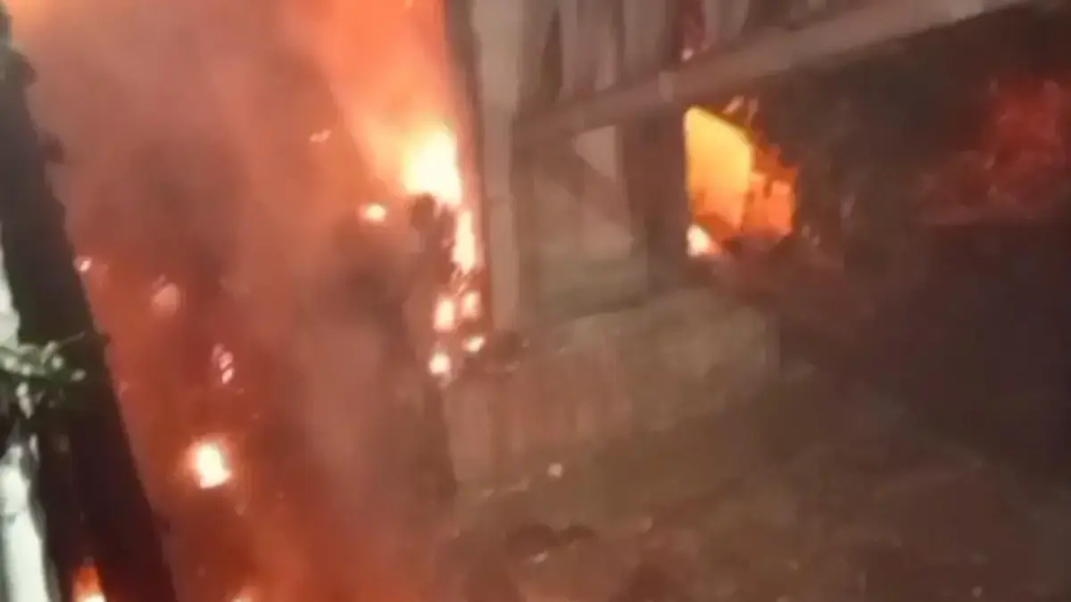Kebakaran Alang-alang Terjadi, Damkar Bogor Imbau Warga Waspada saat Kemarau 
