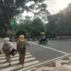 Pelican crossing di Jalan Jalak Harupat, Kecamatan Bogor Tengah, Kota Bogor. Foto: Sekar Andini
