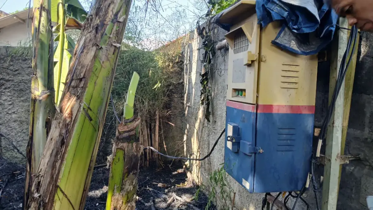Diduga Akibat Korsleting Listrik, Kebakaran Melanda Lahan Kosong di Pamoyanan Bogor Selatan