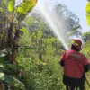 Dipicu Pembakaran Sampah, Damkar Cimahi Padamkan Kebakaran Lahan Seluas 2.000 Meter Persegi di Citeureup