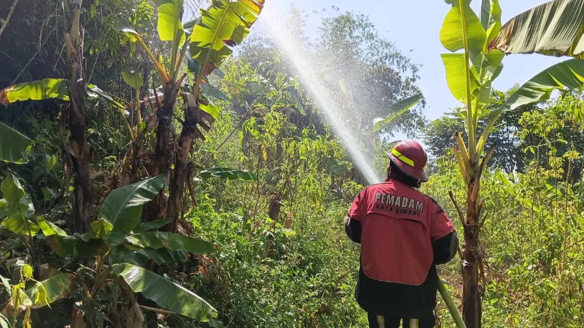 Dipicu Pembakaran Sampah, Damkar Cimahi Padamkan Kebakaran Lahan Seluas 2.000 Meter Persegi di Citeureup