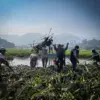 Masyarakat bergotong royong bersihkan eceng gondok di perairan Waduk Saguling, Bandung Barat. Dok Jabar Ekspre