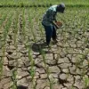 Ciamis Dilanda Kekeringan, BPBD Salurkan 80 Ribu Liter Air ke Empat Kecamatan Paling Terdampak