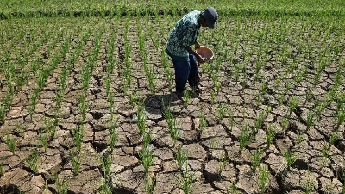Ciamis Dilanda Kekeringan, BPBD Salurkan 80 Ribu Liter Air ke Empat Kecamatan Paling Terdampak