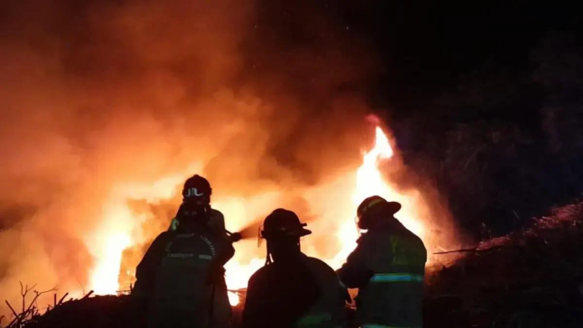 Diduga Akibat Bakar Sampah, Lahan Kering di Citra Indah Jonggol Hangus Terbakar Diduga Akibat Bakar Sampah, Lahan Kering di Citra Indah Jonggol Hangus Terbakar