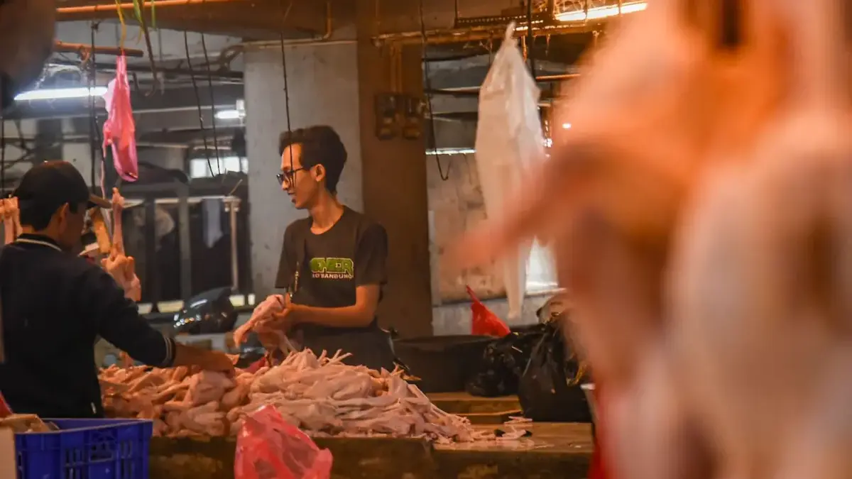 Pedagang melayani pembeli daging ayam ras di Pasar Kosambi, Kota Bandung, Kamis (9/7/2026). Harga daging ayam