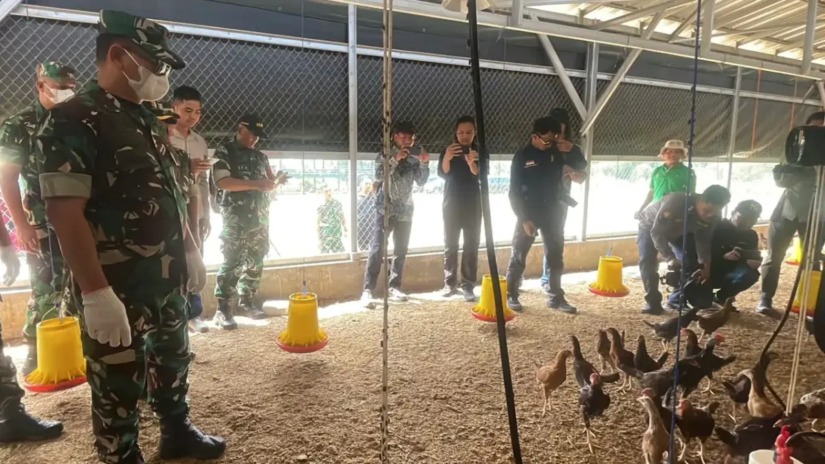 Panen Perdana Program Cikabayam di Banjaran, Pangdam III/Siliwangi Bagikan Ratusan Ayam untuk Warga Pangdam III/Siliwangi Mayor Jenderal TNI Kosasih melakukan panen perdana Program Cikabayam (Citarum Harum Kamb
