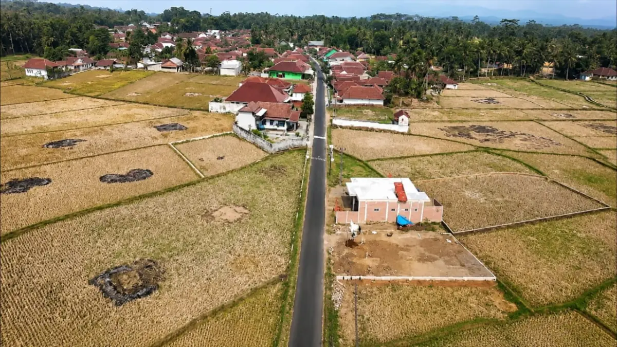 Dampak Kemarau di Tasikmalaya Meluas, 26 Kecamatan dan Lebih dari 2.100 Hektare Sawah Alami Kekeringan Dampak Kemarau di Tasikmalaya Meluas, 26 Kecamatan dan Lebih dari 2.100 Hektare Sawah Alami Kekeringan