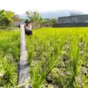 WALHI Jabar Soroti Ancaman Godzilla El Nino, Nilai Krisis Air Bersih Akibat Lemahnya Tata Kelola Lingkungan