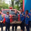 Seekor kukang Jawa (Nycticebus javanicus) dievakuasi petugas Dinas Pemadam Kebakaran dan Penyelamatan (Disdamk