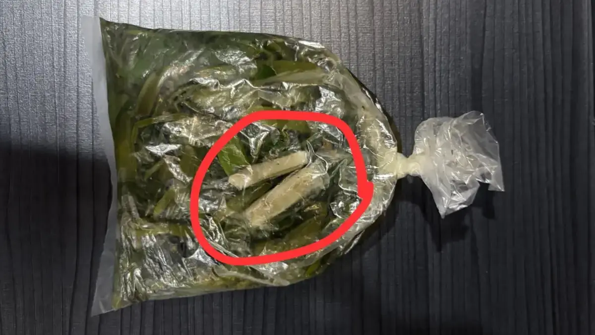 Petugas Lapas Narkotika IIA Bandung Gagalkan Penyelundupan 10 Paket Sinte yang Disembunyikan di Sayur Kangkung Petugas Lapas Narkotika IIA Bandung Gagalkan Penyelundupan 10 Paket Sinte yang Disembunyikan di Sayur Kangkung