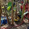 Video Pengeboran Gunung Guha KBB Viral, ESDM Jabar Pastikan Masih Tahap Eksplorasi Tambang Batu Gamping