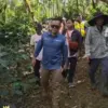 Pemerintah Kabupaten Tasikmalaya Dorong Pemanfaatan Hutan Tanpa Merusak Lingkungan