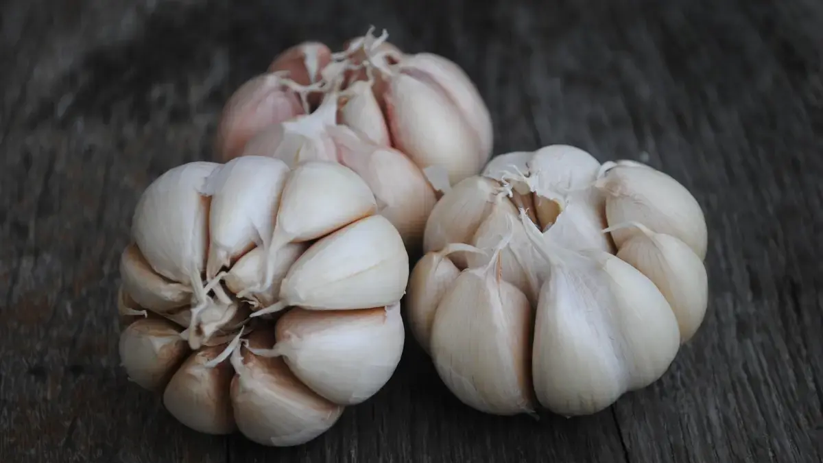 Jaga Harga agar Tetap Terkendali, Bapanas Genjot Pasokan Bawang Putih Jaga Harga agar Tetap Terkendali, Bapanas Genjot Pasokan Bawang Putih