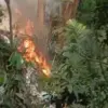 Pengamen Diduga Buang Puntung Rokok Menyala, Lahan Dipenuhi Sampah dan Pohon Randu di Bogor Tengah Terbakar 