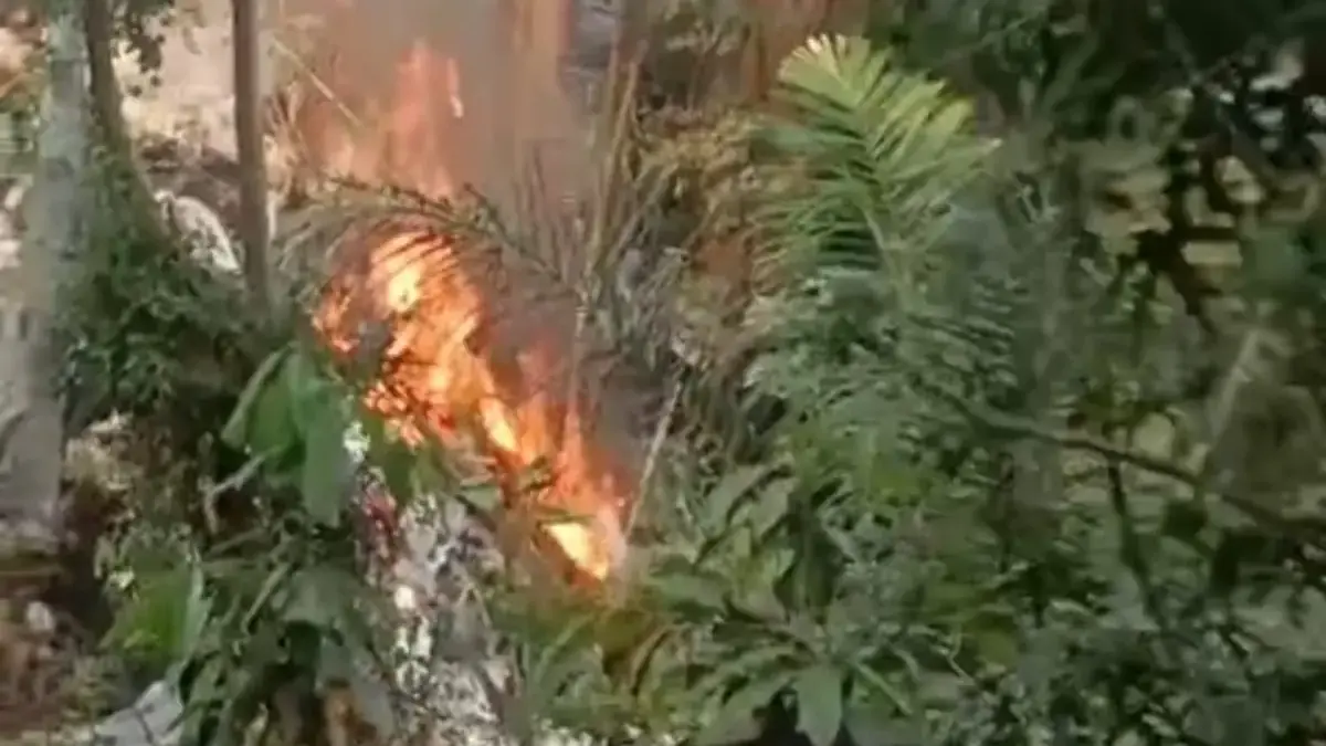 Pengamen Diduga Buang Puntung Rokok Menyala, Lahan Dipenuhi Sampah dan Pohon Randu di Bogor Tengah Terbakar 
