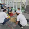 Bioteknologi Mikroba