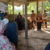 pupuk organik