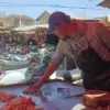harga ayam