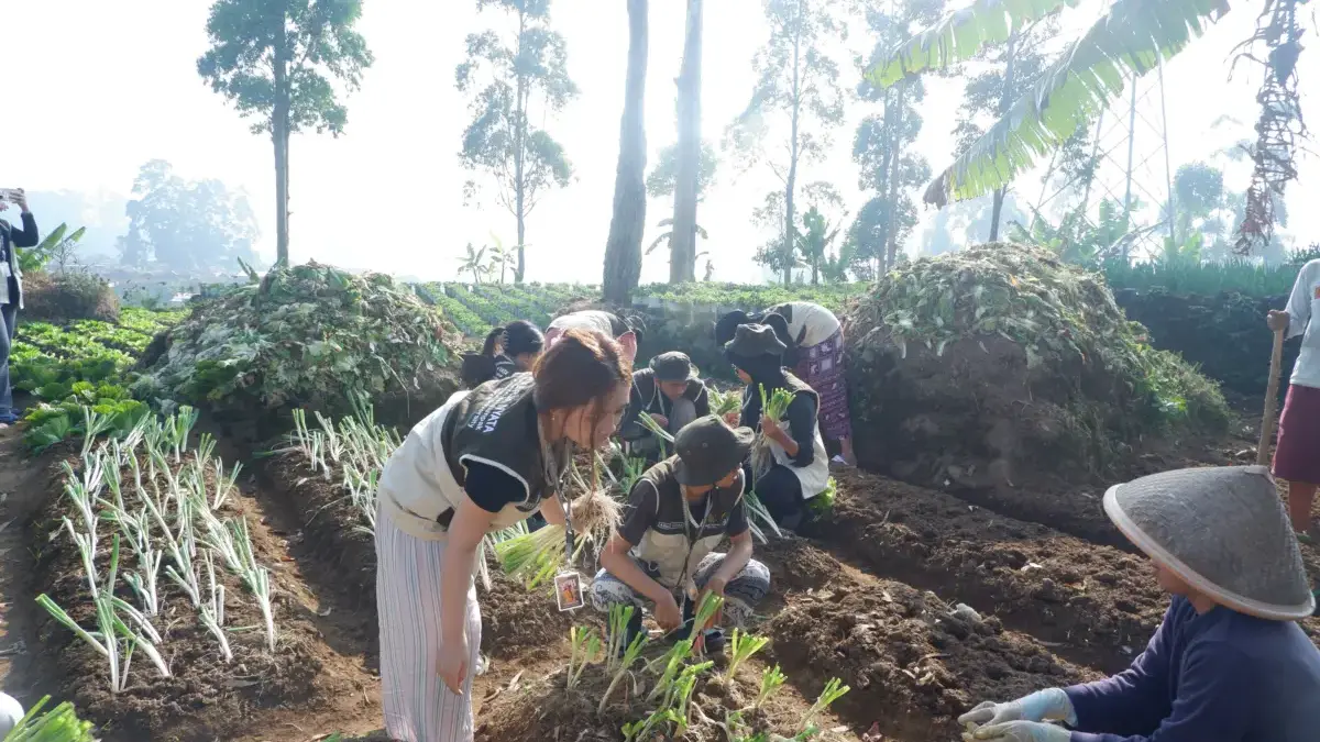 PETIK ILMU: Mahasiswa KKN Belajar Budidaya Stroberi dan Teh Bersama Petani Lokal PETIK ILMU: Mahasiswa KKN Belajar Budidaya Stroberi dan Teh Bersama Petani Lokal