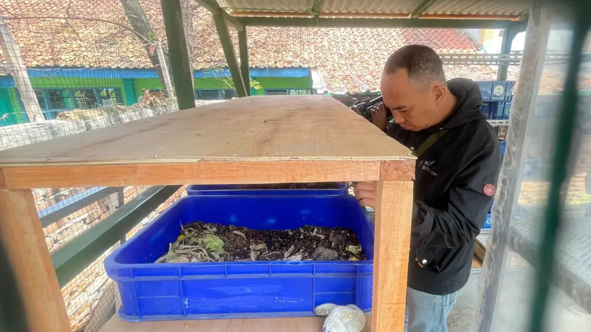 KKN Unla Bikin Rumah Maggot di Cangkuang Kulon, Jadi Pilot Project Pengelolaan Sampah KKN