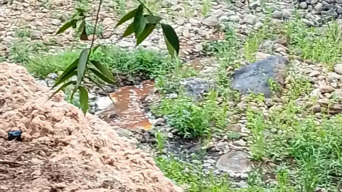 Sungai Cidadap, Kecamatan Gununghalu, Bandung Barat diduga tercemar limbah pabrik tepung tapioka. Dok DLH KBB