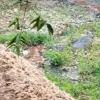 Dugaan Pencemaran Sungai Cidadap, Pabrik Aci Diminta Benahi Limbah