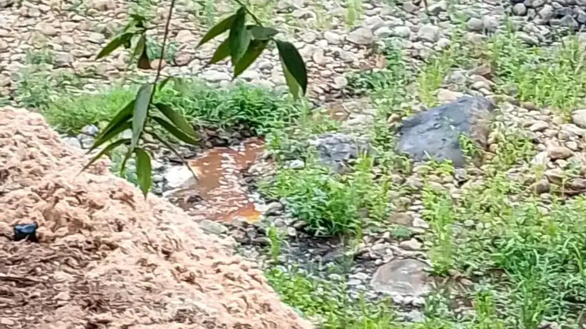 Dugaan Pencemaran Sungai Cidadap, Pabrik Aci Diminta Benahi Limbah