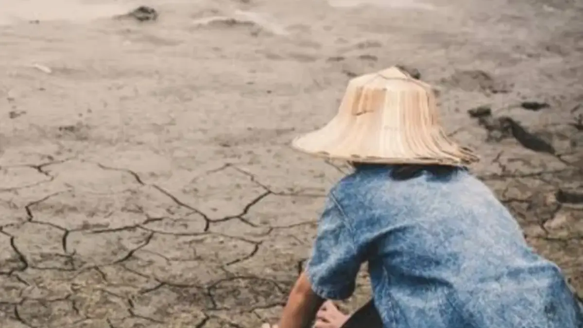 El Nino 2026 Kuat, BMKG Ungkap 86,62 Persen Wilayah Indonesia Minim Hujan