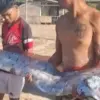 Viral Ikan Oarfish 4 Meter Terdampar di Lombok Timur, Benarkah Pertanda Kiamat?