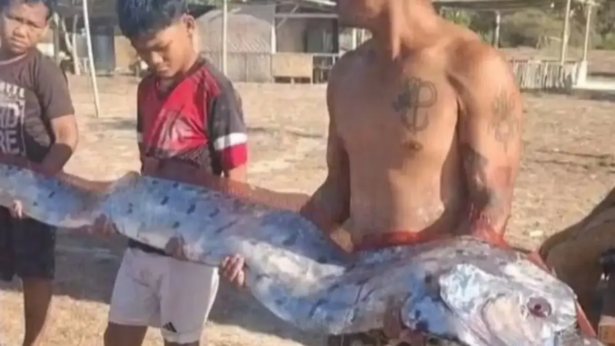 Viral Ikan Oarfish 4 Meter Terdampar di Lombok Timur, Benarkah Pertanda Kiamat?