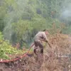 2 Hari Berturut-turut Kebakaran Lahan di Tasikmalaya, Kemarau Panjang Tingkatkan Ancaman Bencana
