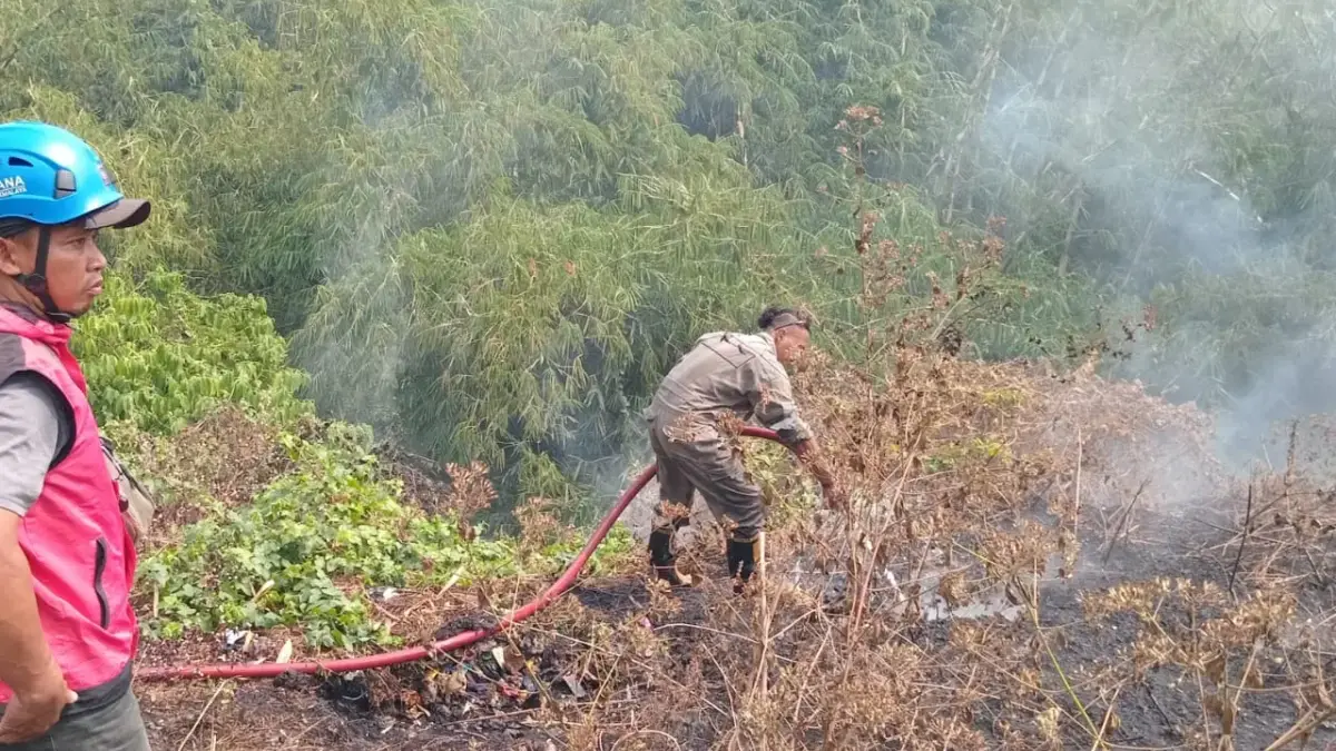 2 Hari Berturut-turut Kebakaran Lahan di Tasikmalaya, Kemarau Panjang Tingkatkan Ancaman Bencana 2 Hari Berturut-turut Kebakaran Lahan di Tasikmalaya, Kemarau Panjang Tingkatkan Ancaman Bencana