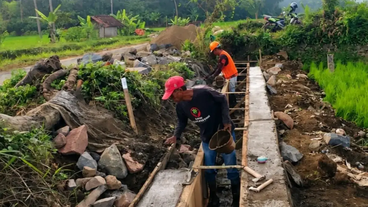 Di Balik 303 Ribu Ton Beras Tasikmalaya, Ada Irigasi Penentu Nasib Petani